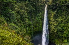 442 foot tall and powerful akaka falls big island hawaii