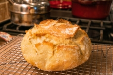 homemade bread bakery style from a red dutch oven